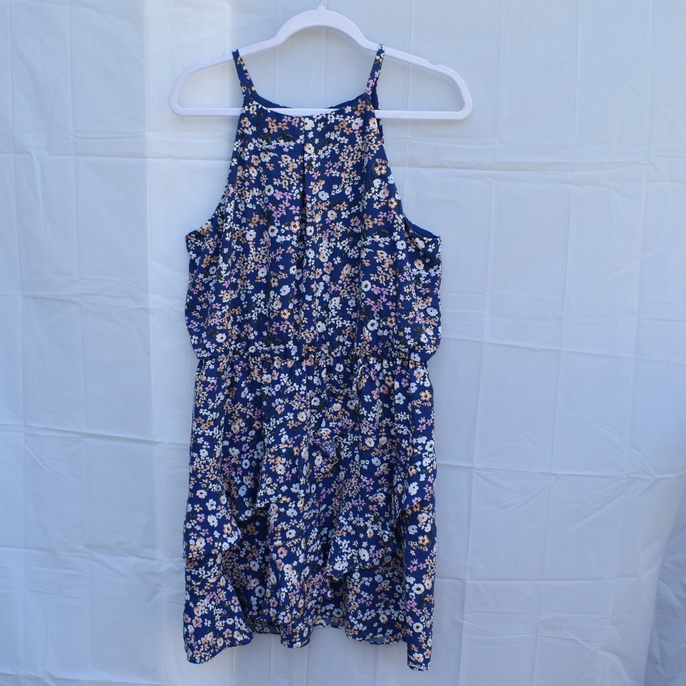 iz byer XL blue floral dress